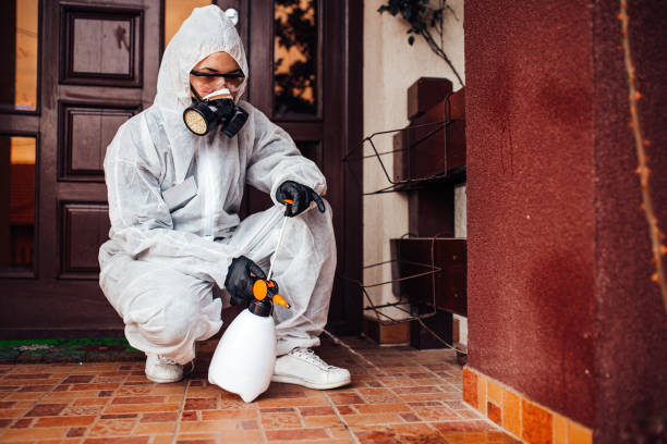 Reliable Cockroach Control contractor in Navasota, TX by Nex Pest Control